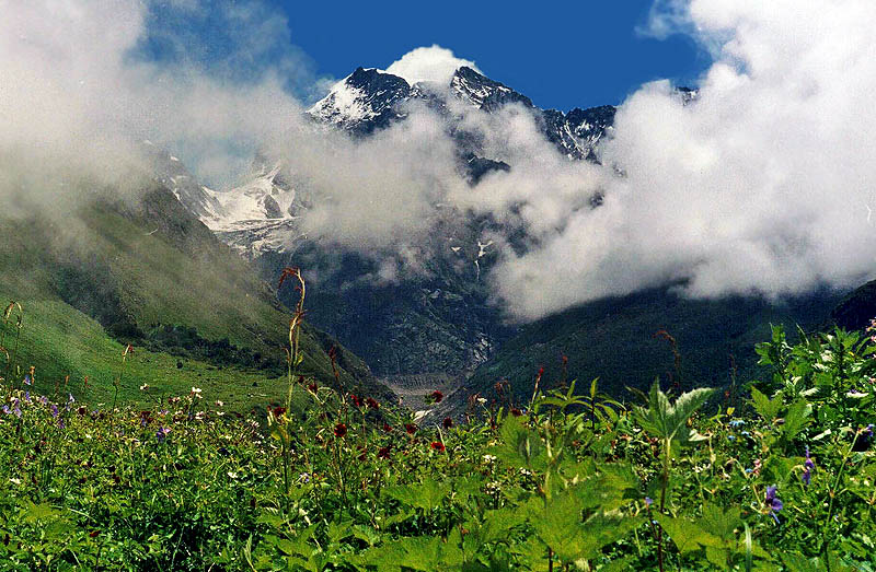 Valley of Flowers Trek in Uttarakhand