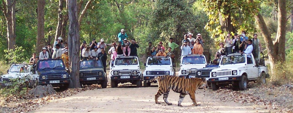 Banghavgarh National Park