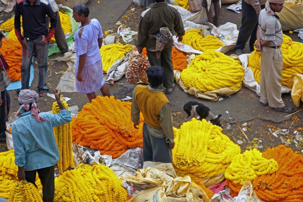 Mallikghat Flower Market, Kolkata
