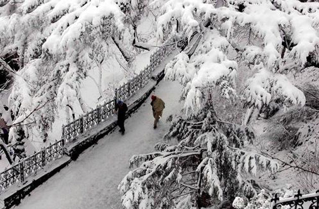 Dharamsala Snowfall