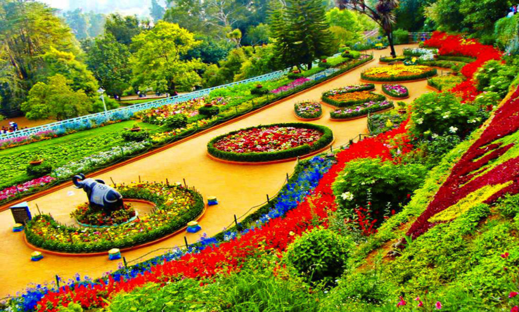 Botanical Gardens, Ooty