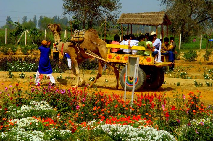 Top 10 Places to Visit near Delhi within 100 kms