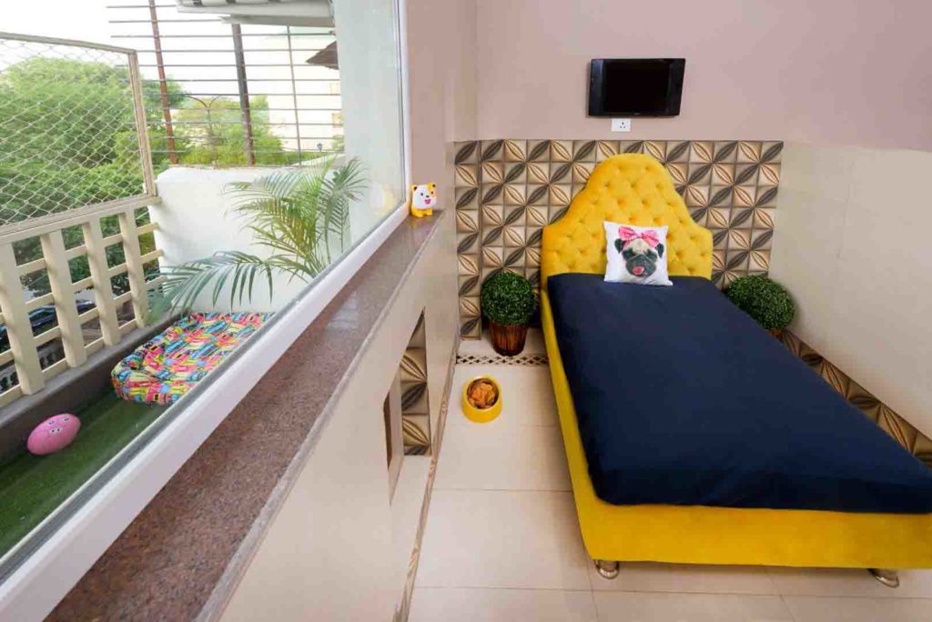 Cretterati, Gurgaon - India's first and Only Dog Hotel