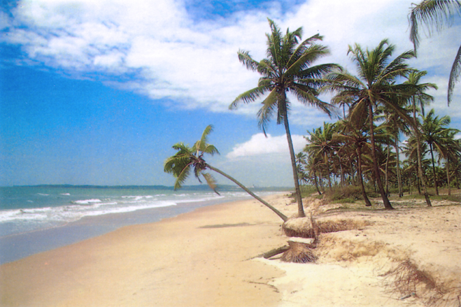 Majorda Beach Goa