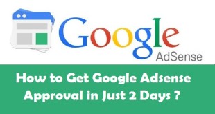 Google Adsense Approval