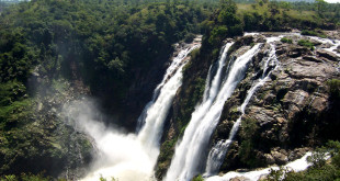 Top 10 Places to Visit near Bangalore in Monsoon