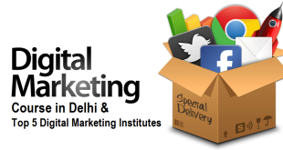 Digital Marketing Course in Delhi