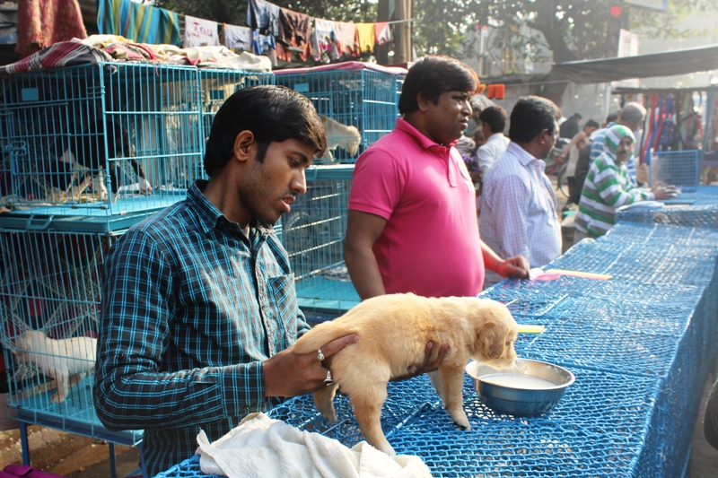 Hatibagan Market, Kolkata 