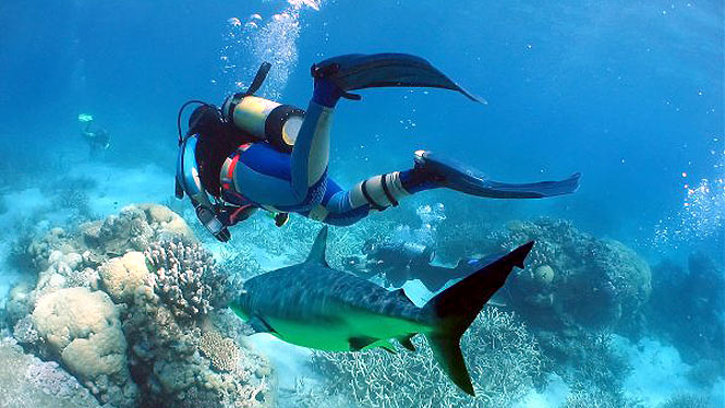 Scuba Diving and Snorkeling in Goa