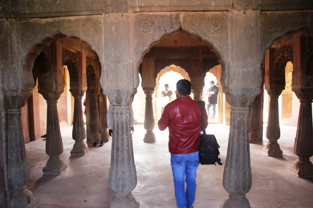 Pillars of Chand Baori