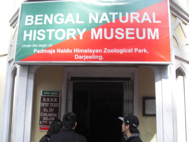 Bengal Natural History Museum, Darjeeling