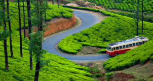 Top Must Visit Places In Munnar To Enjoy Its Serenity And Beauty